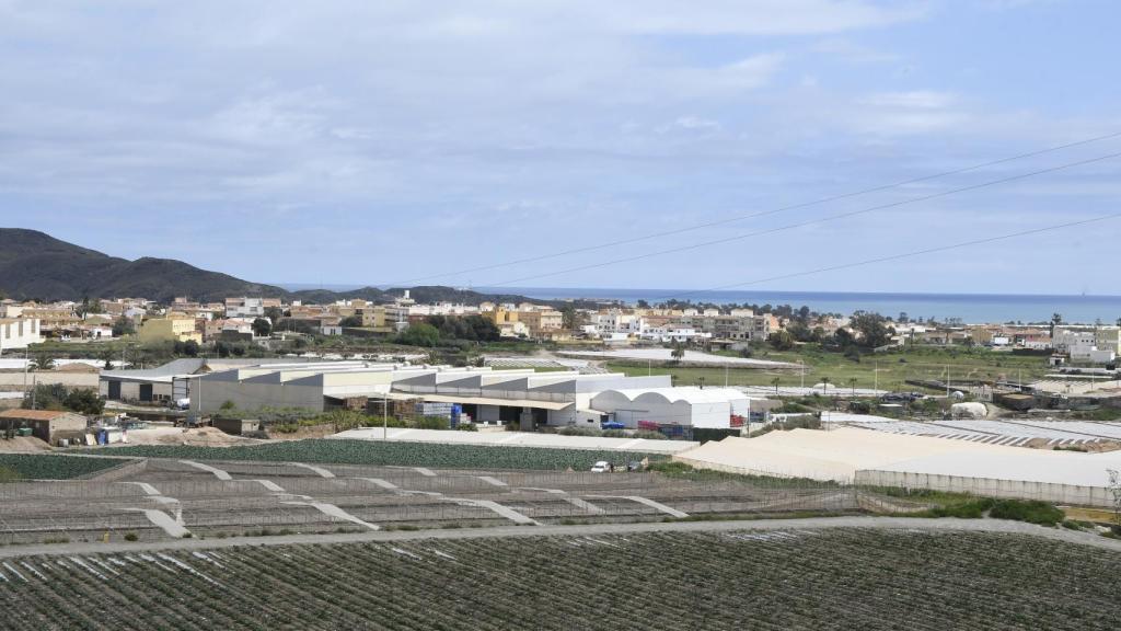 Campos de cultivo y Palomares, al fondo, desde la zona delimitada como afectada.