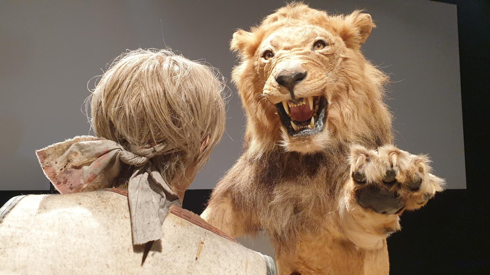 El Marq avanza los primeros contenidos de la exposición 'Gladiadores' de Roma en Alicante.
