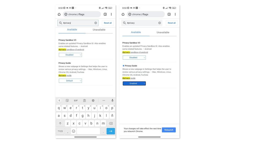 Guía de Privacidad en Google Flags