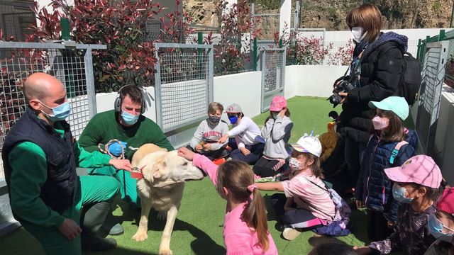 Escolares con uno de los perros del CAAN.