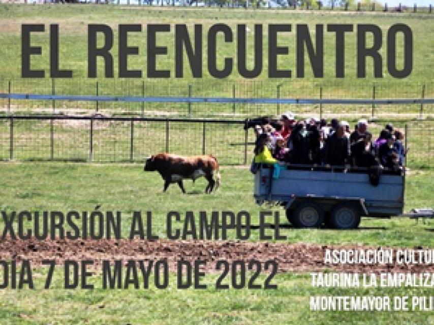 Valladolid Montemayor asociacion la empalizada