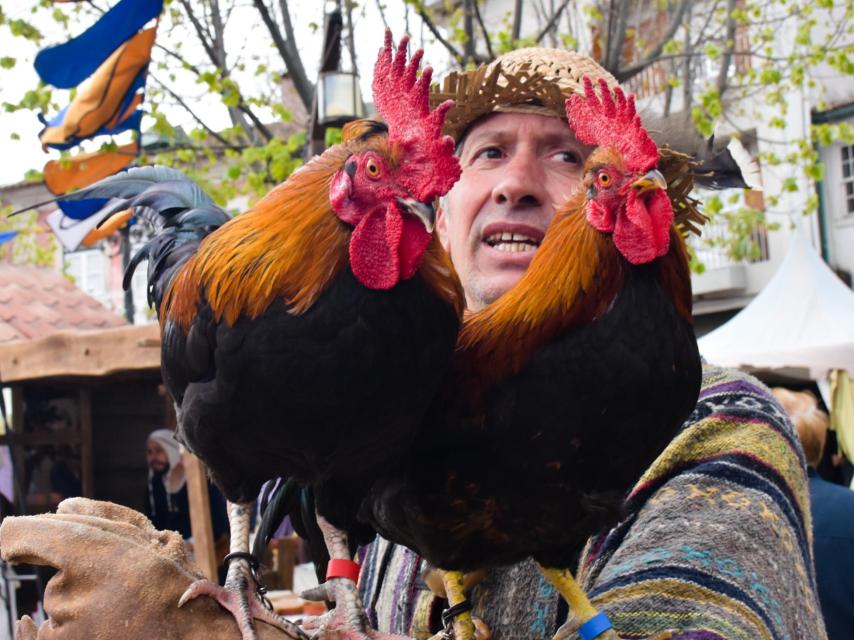 Imágenes de la Feria Medieval de Torre de Moncorvo 2022