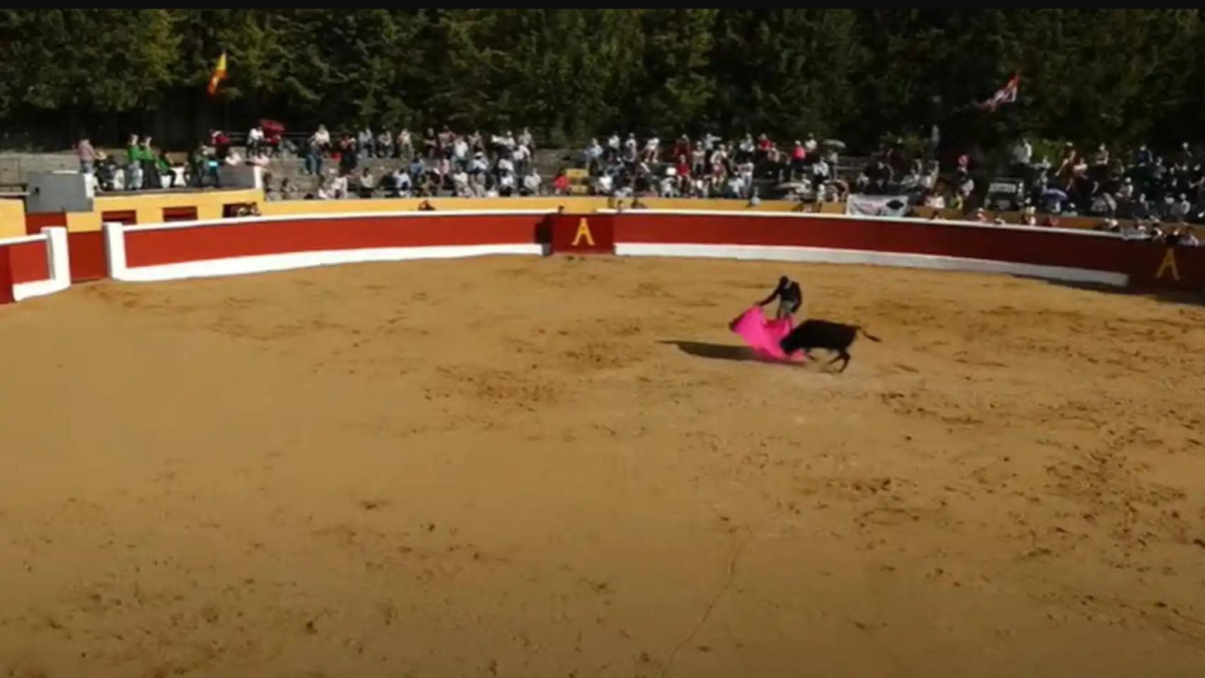 Los amantes de la tauromaquia tienen una nueva cita en las novilladas de Ampudia