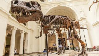 Esqueleto de tiranosaurio en el Museo Field de Chicago