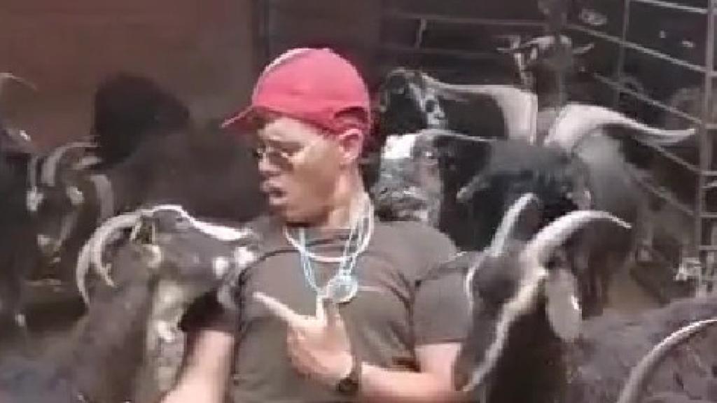 Luis Miguel en TikTok
