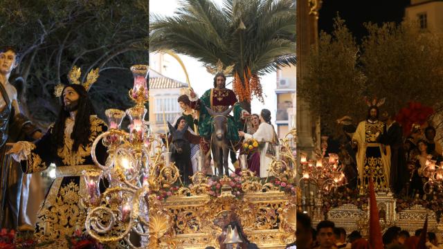 Los árboles de la Semana Santa de Málaga.