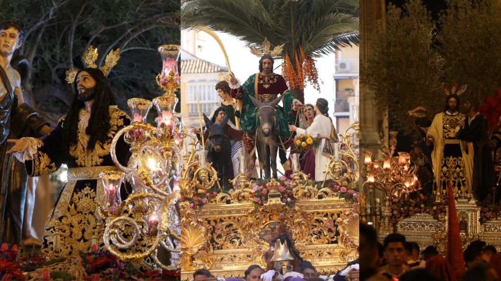 Los árboles de la Semana Santa de Málaga.