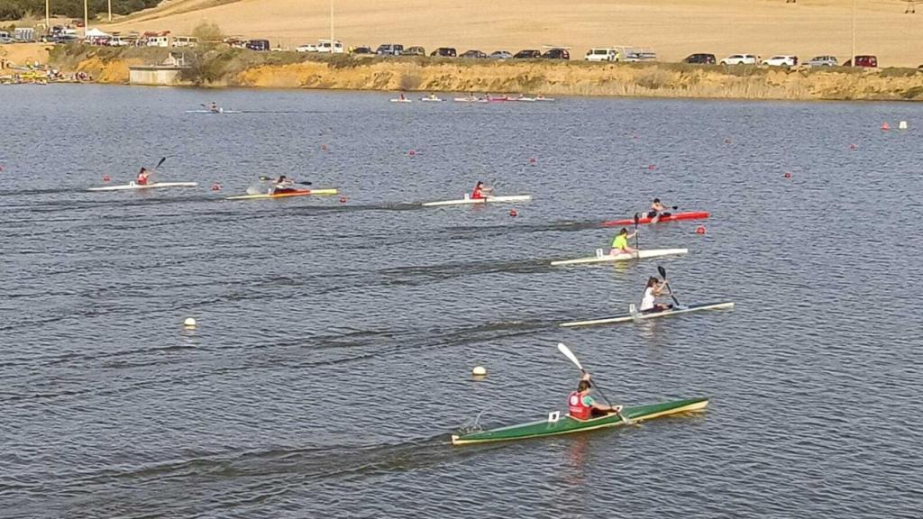 Campeonato de Castilla y León en pista