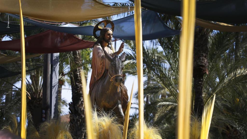 Imagen del Domingo de Ramos en Elche.