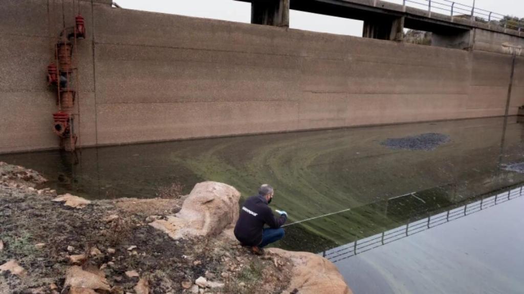 El embalse de As Conchas, en la Baixa Limia, totalmente eutrofizado.