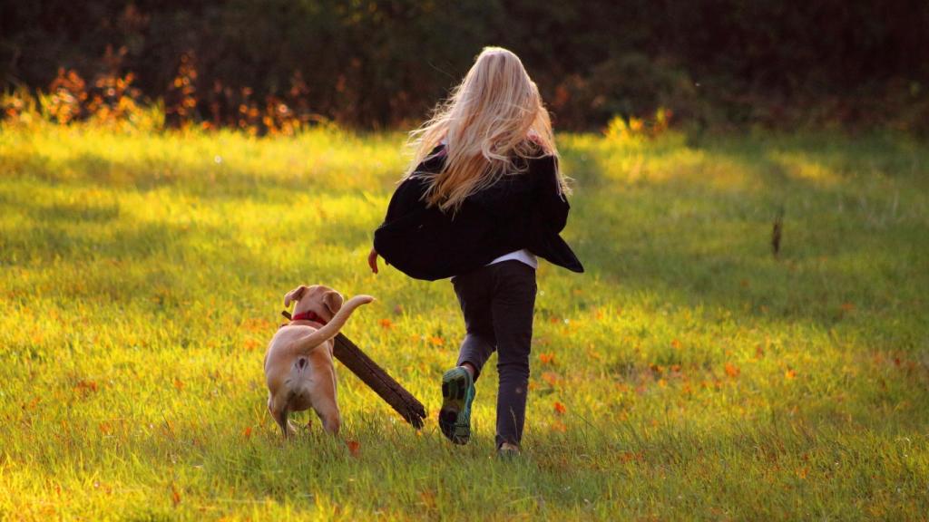 Esta es la mejor forma de acercarse a un perro que no te conoce