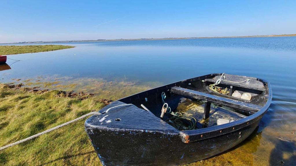 La notable presencia de algas pone de manifiesto los procesos de eutrofización de Lady's Island Lake, similares a los del Mar Menor.