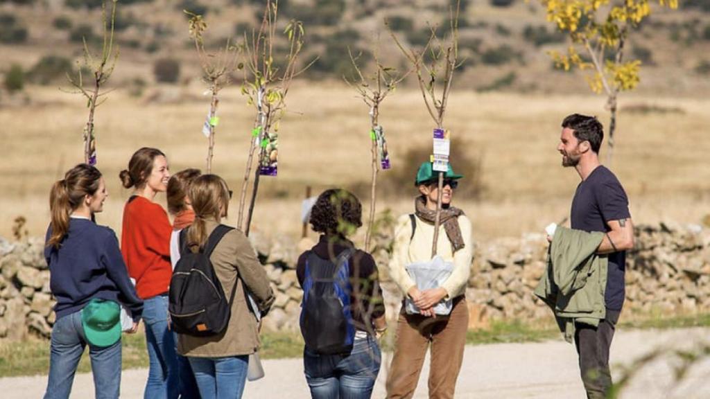 Una de las actividades llevadas a cabo en el MadBlue el año pasado