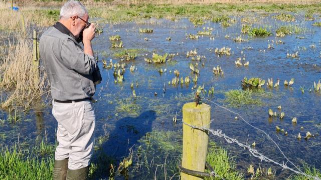 El catedrático de Ecología de la Universidad de Murcia y miembro del Comité de Seguimiento del Mar Menor, Ángel Pérez Ruzafa, tomando unas fotos en Lady's Island Lake.