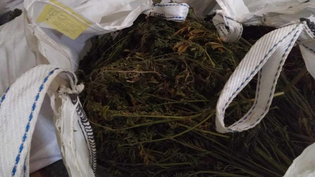 El interior de una de las bolsas de cáñamo.