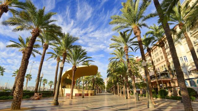 La Explanada de Alicante, una de las zonas turísticas más importantes de la ciudad.
