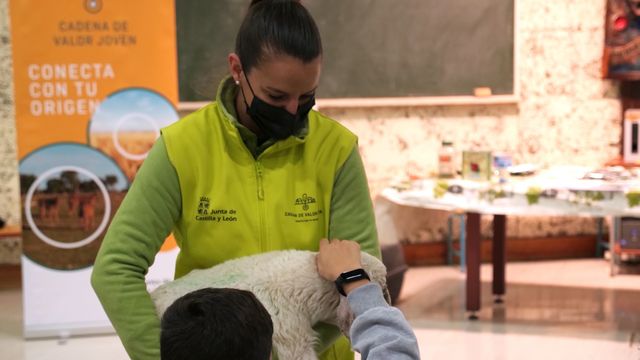 Cadena de valor joven en los colegios de Castilla y León