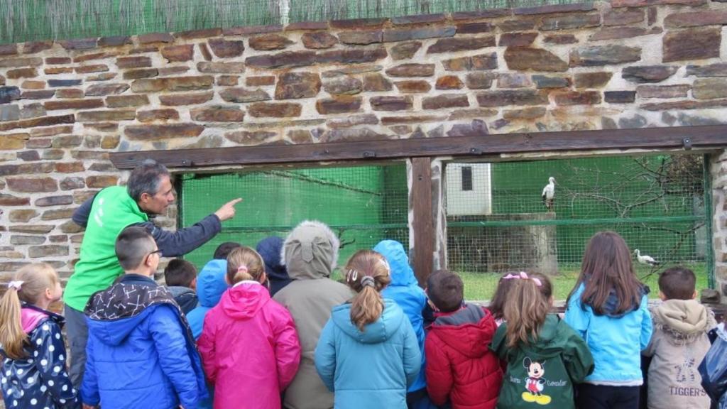 Visitas o scape room en el nuevo programa de educación ambiental en Castilla-La Mancha