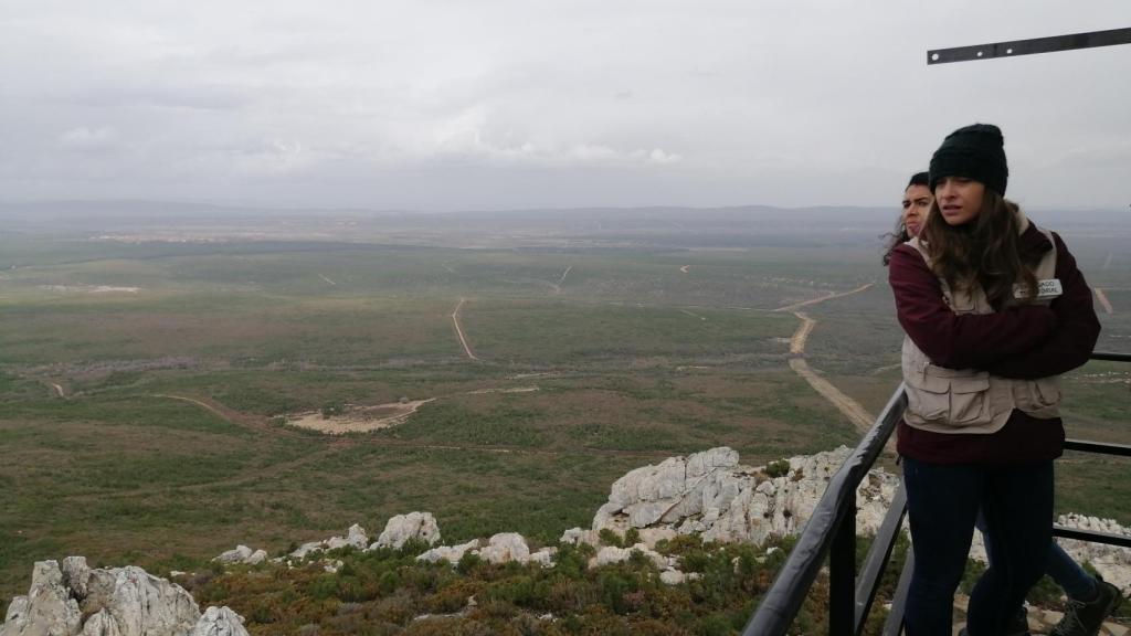Visita a la reforestación del incendio de Castrocontrigo
