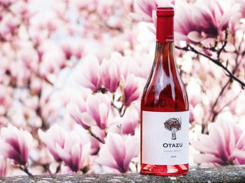 Otazu Rosado Merlot, silvestre y artístico
