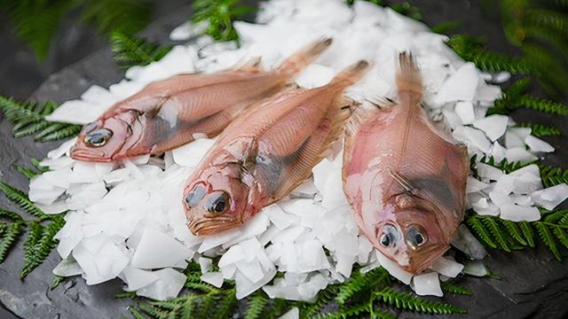 Es temporada de meigas: el pescado mágico que triunfa en las hogares gallegos