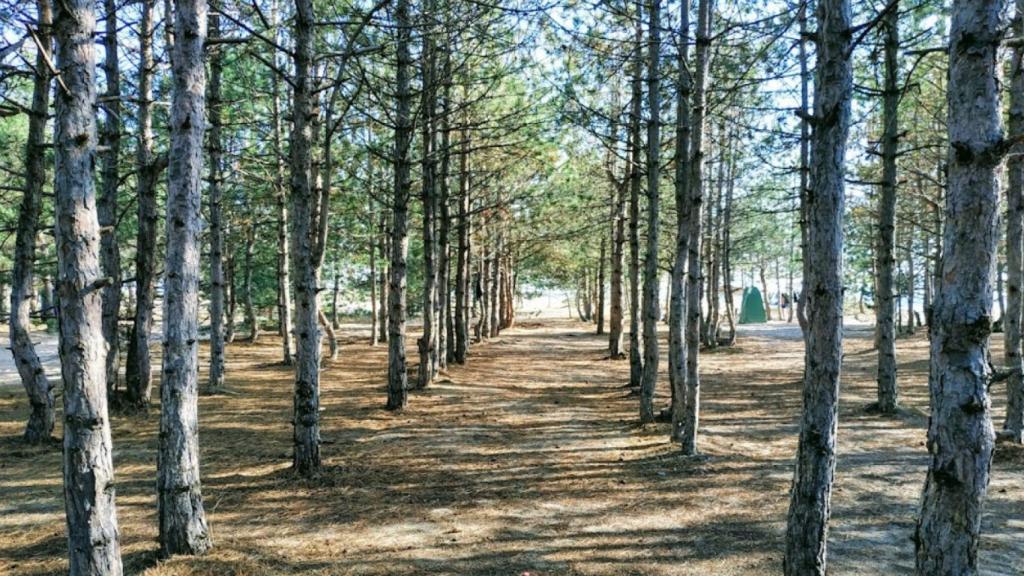 Imagen del Parque Nacional de Biloberezhia Sviatoslava.