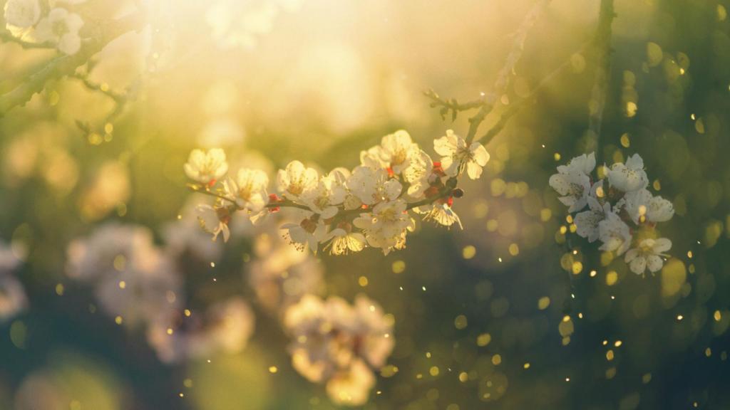 Imagen de unas flores en plena polinización