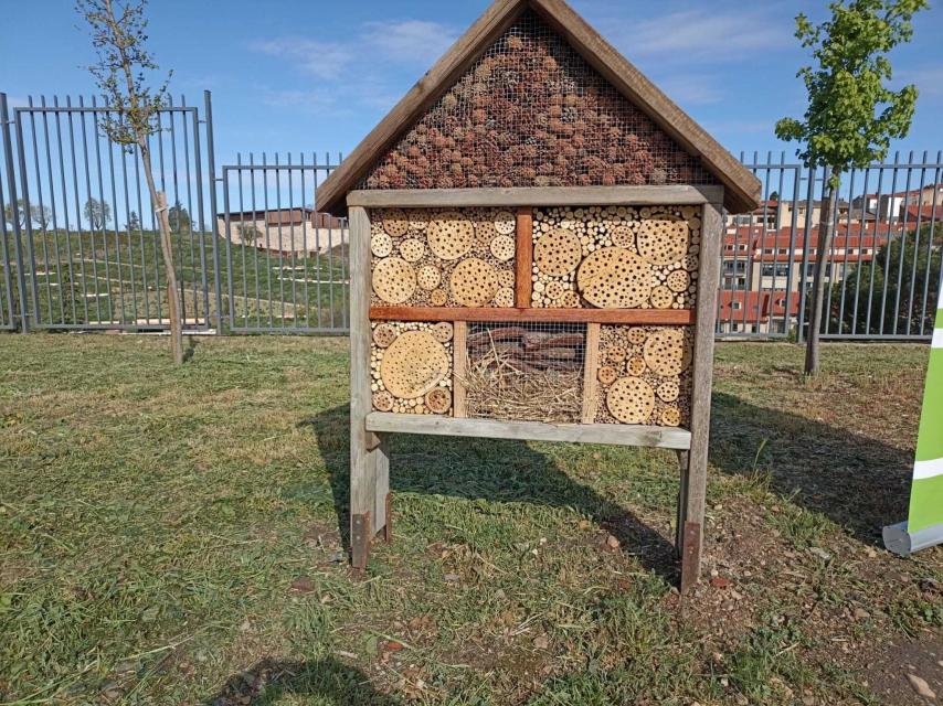 Hotel de insectos en el Botánico