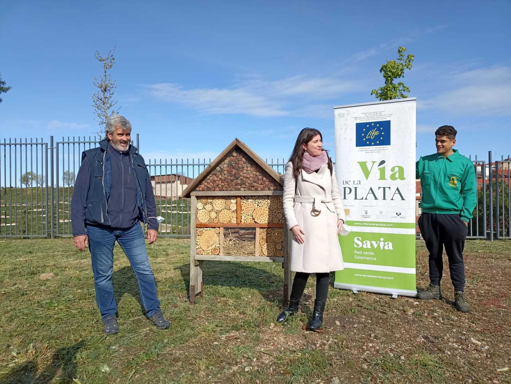 Instalación de hoteles de insectos por la ciudad