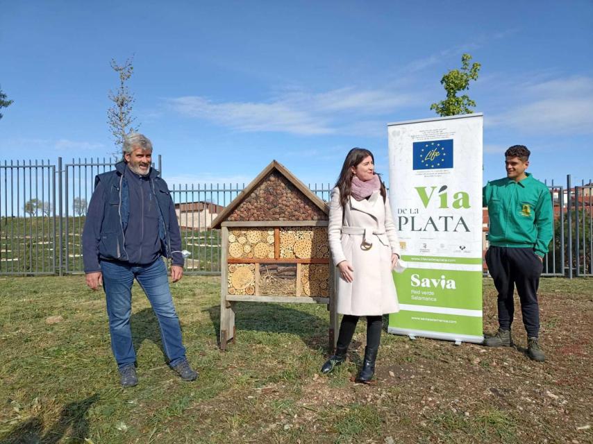 Instalación de hoteles de insectos por la ciudad