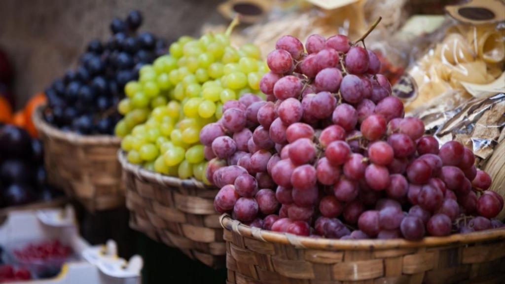 Con grandes uvas se hacen grandes vinos