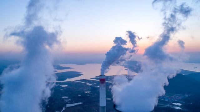 La descarbonización no será posible sin financiar reforestación, captura de carbono y gases renovables