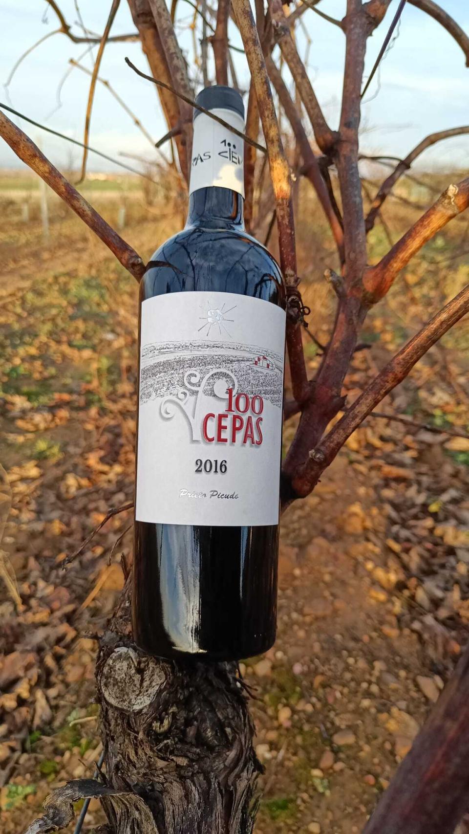Uno de los vinos de 100cepas en el viñedo