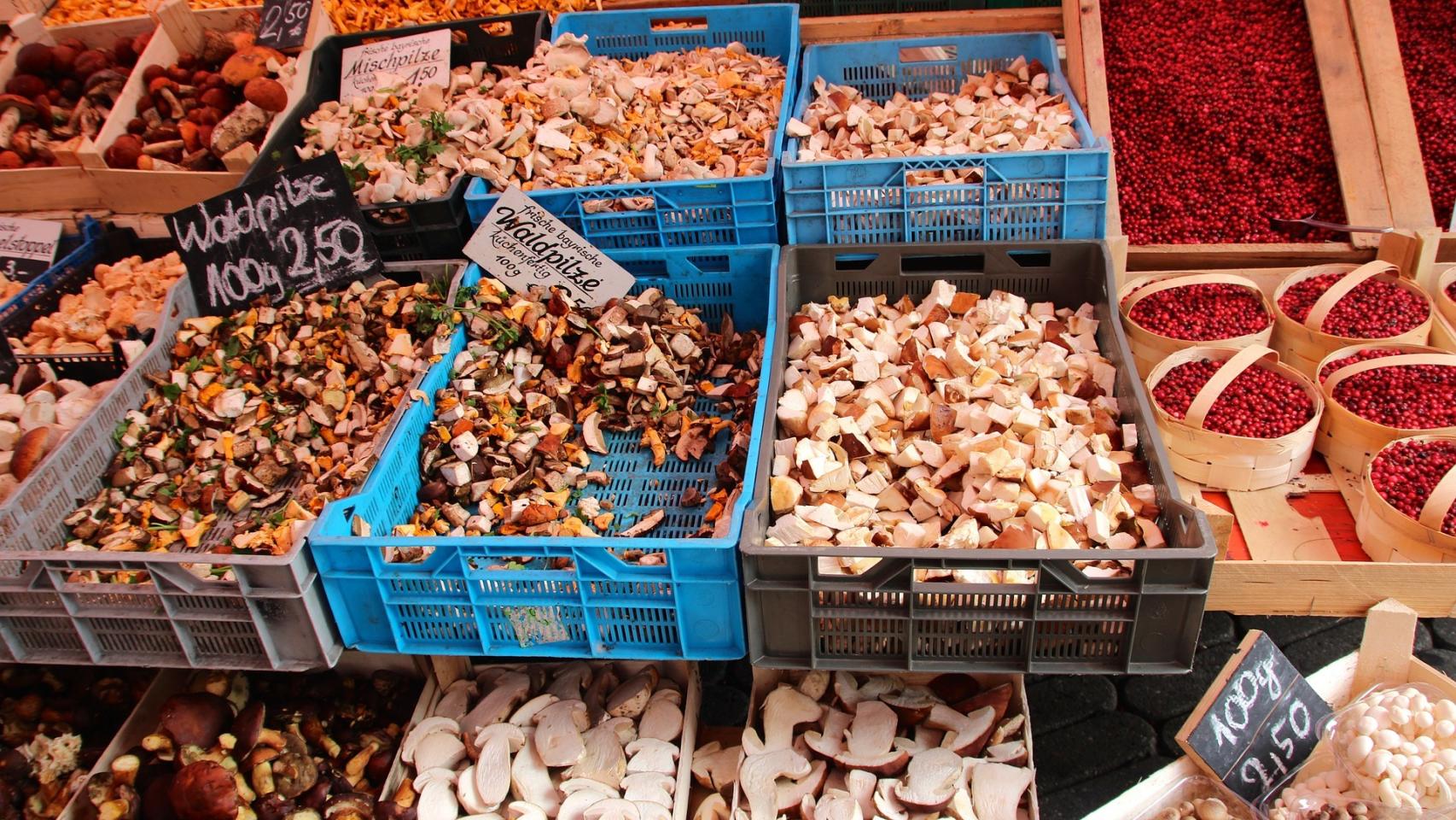 Varios tipos de hongos en una frutería.