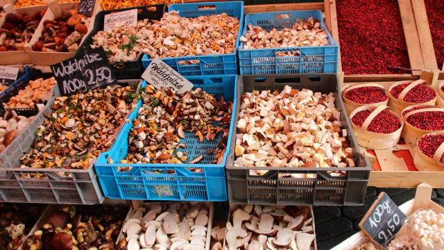 El hongo Reishi se puede encontrar cada vez más en fruterías y herboristerías.