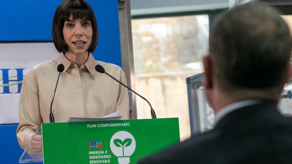 Diana Morant, ministra de Ciencia e Innovación.