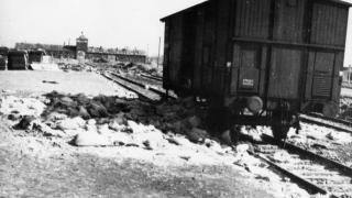 Fotografía del ucraniano Anatoly Kuzin de la entrada a Auschwitz en el momento de su liberación, en enero de 1945. / IWM