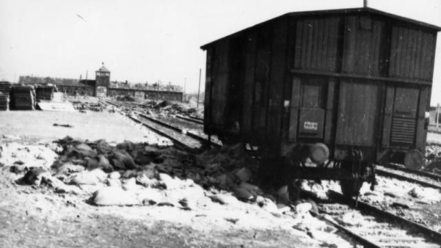 Fotografía del ucraniano Anatoly Kuzin de la entrada a Auschwitz en el momento de su liberación, en enero de 1945. / IWM