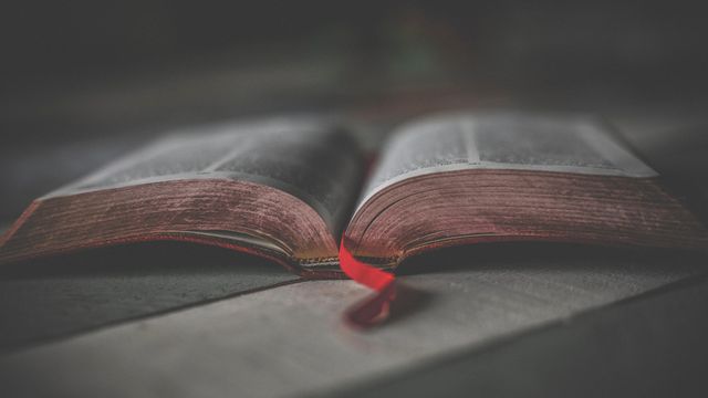 Foto de Wendy van Zyl en Pexels