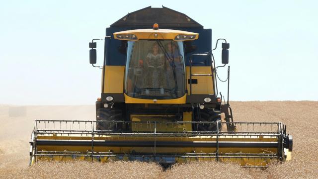 Cosecha de cereales.