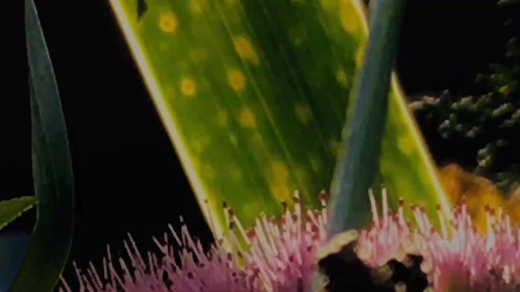 En su tercera edición ALC Videoart Festival se expande a dos sedes mientras busca más pantallas por Alicante.