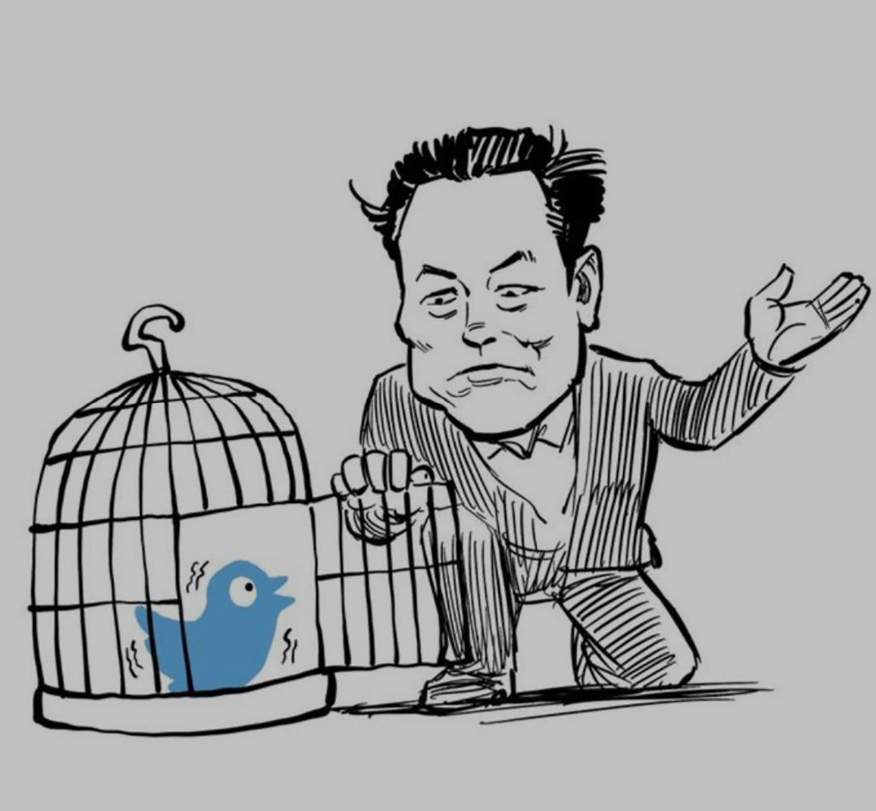 Twitter y Musk