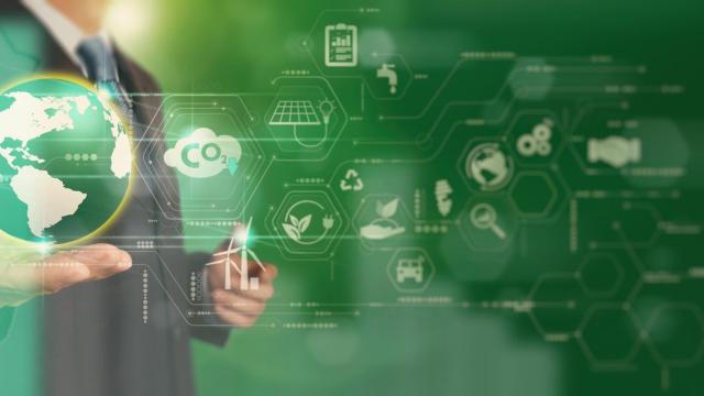 ¿Cuánto cuesta la tonelada de huella? El mercado de la compensación