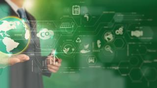 ¿Cuánto cuesta la tonelada de huella? El mercado de la compensación