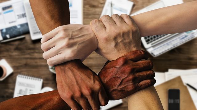 El 'corporate venture building' 7r ha diseñado más de 30 nuevos negocios para sus socios y lanzado cinco en formato startup: Ringo, Rento, Zityhub y Vivla del sector 'proptech' y Apprender del sector 'edtech'.