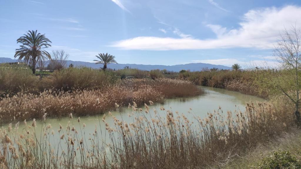 El plan de inundaciones que presenta la Confederación del Segura recibe duras críticas de los alcaldes de la Vega Baja.