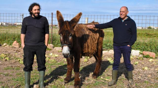 Jesús de Gabriel y Mariano Alonso posan junto a una de las burras de Buleza