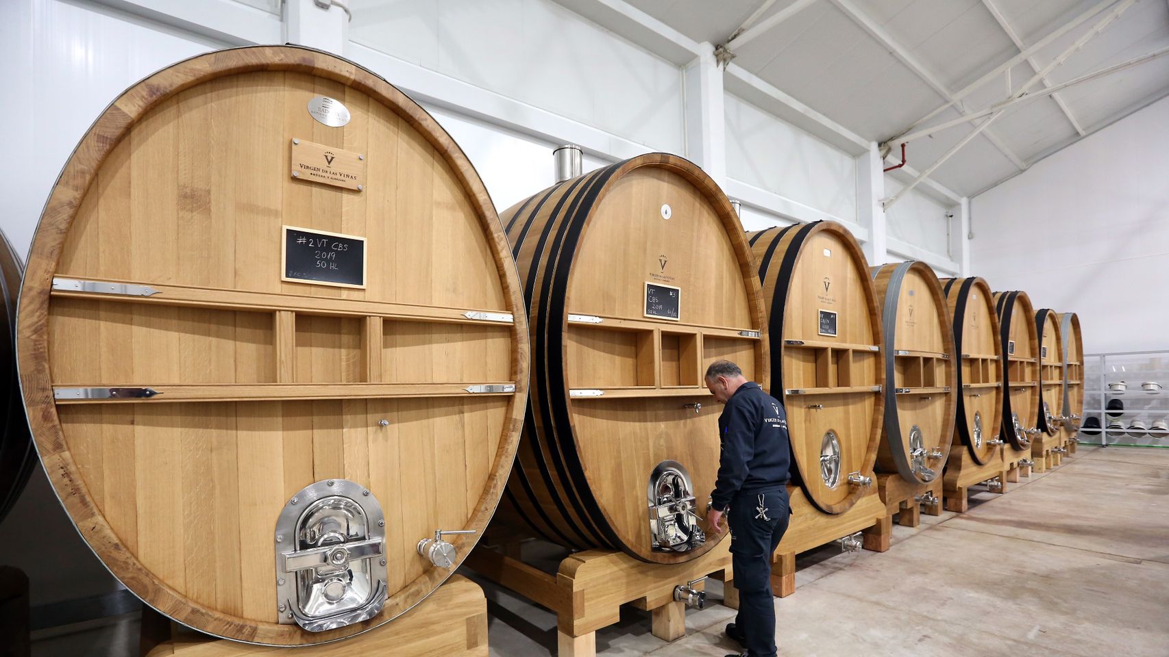 Recorrido por la Cooperativa Virgen de las Viñas de Tomelloso (Ciudad Real)