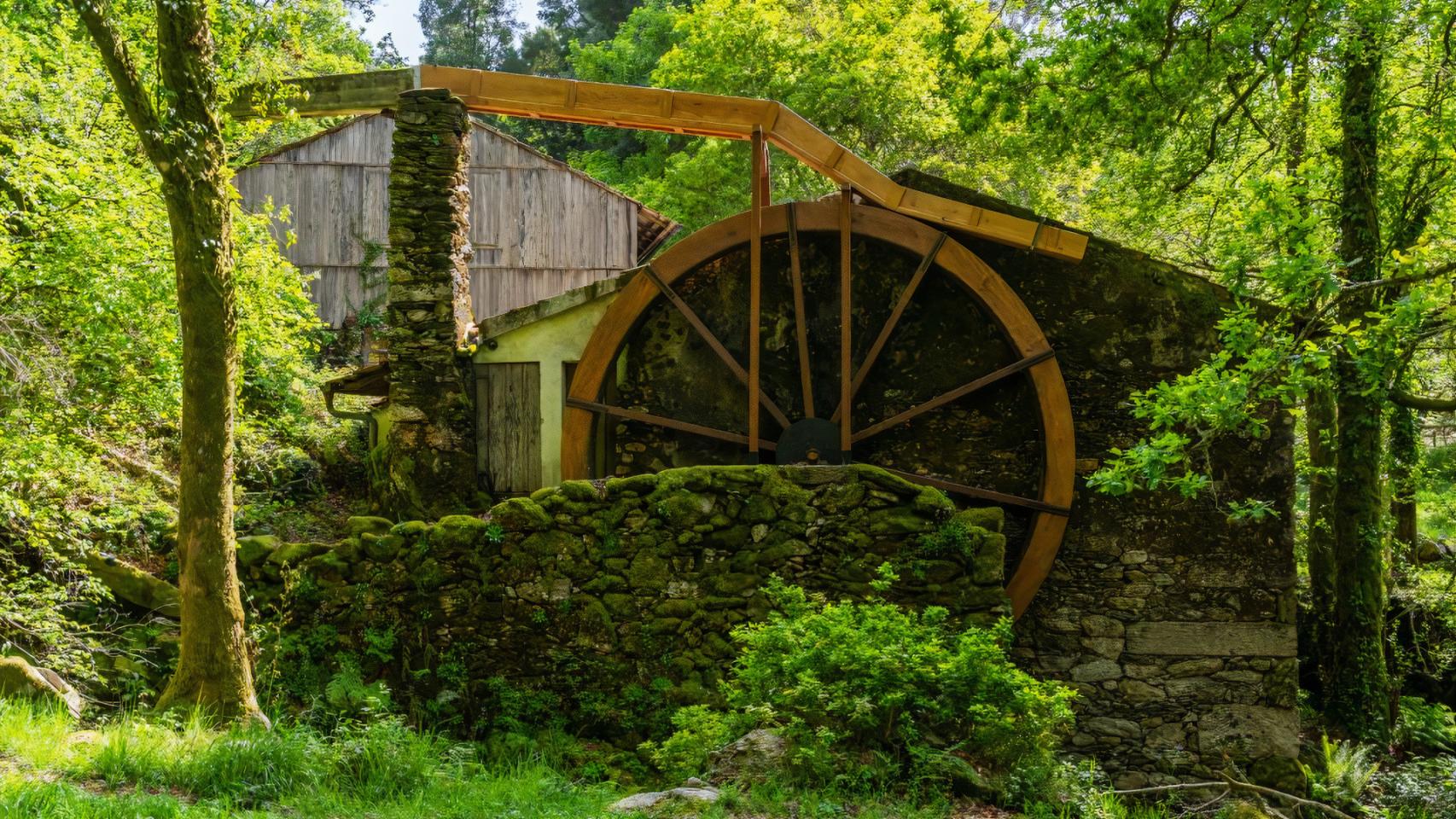 Noria del aserradero dos Carranos (Covelo).