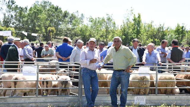 Feria de San Isidro de Lumbrales